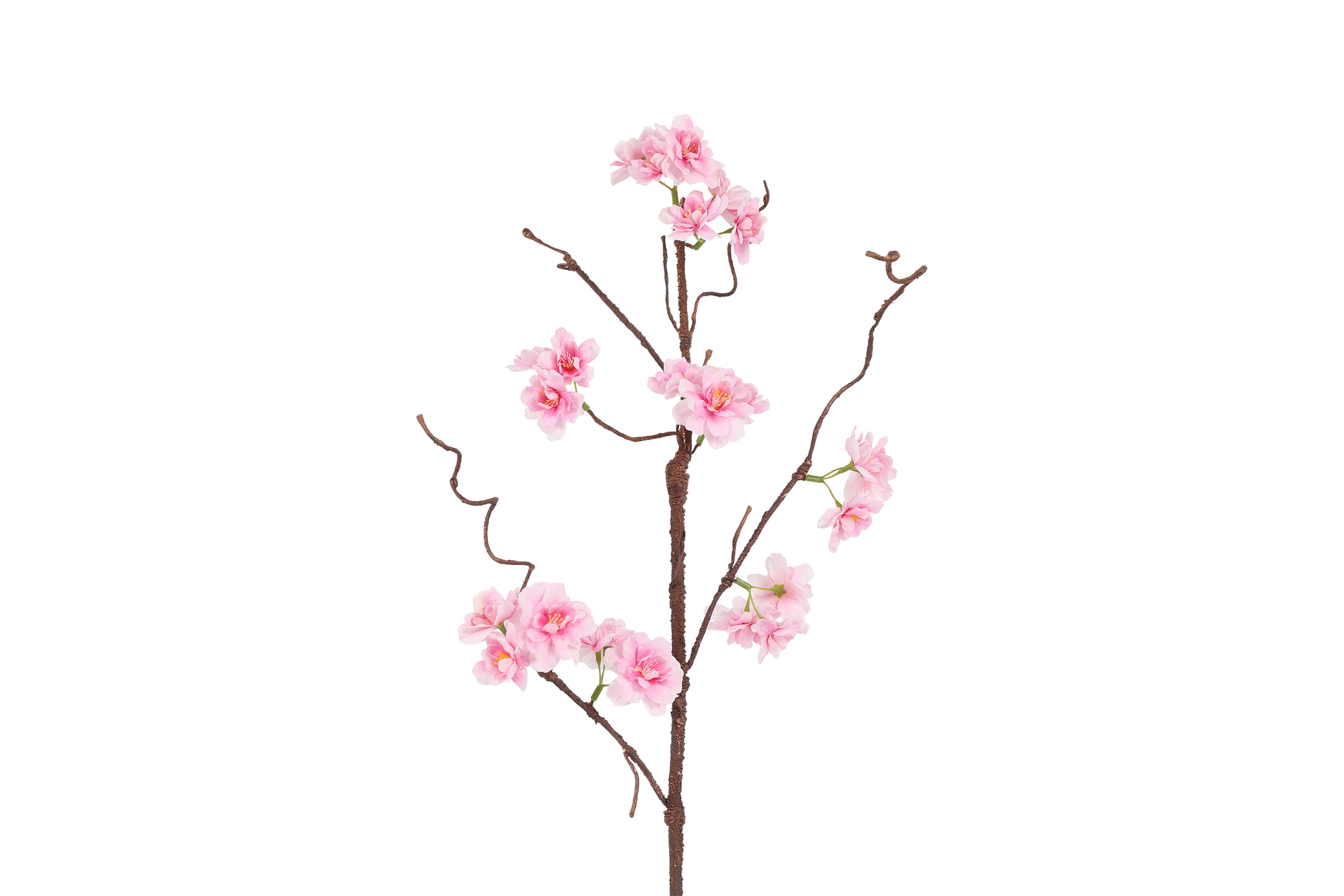 Art Flower Maxi Prunus Sakura Pink Gift