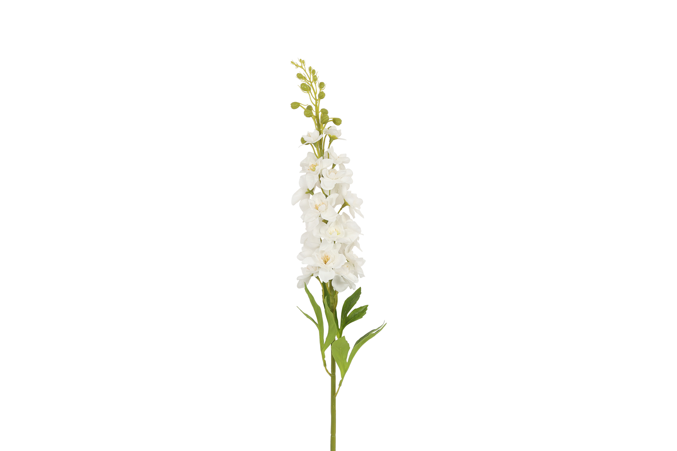 Art Flower Matthiola White Gift
