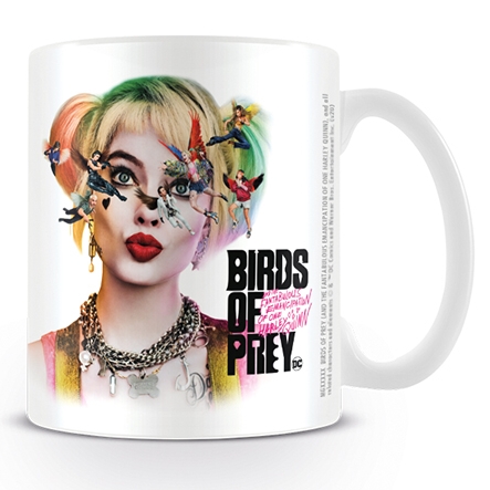 Birds Of Prey Boxed Mug Seeing Stars Gift
