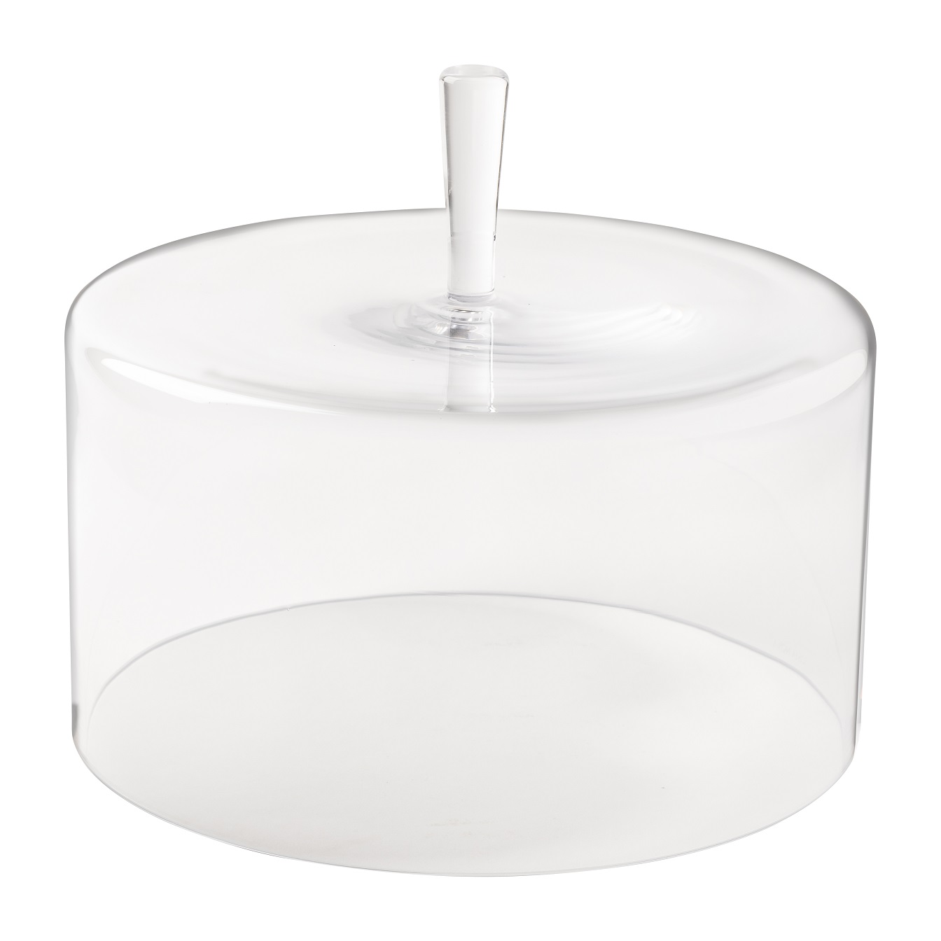 Coupole Glass Dome 30cm Gift